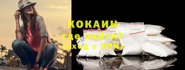 дживик Богородск