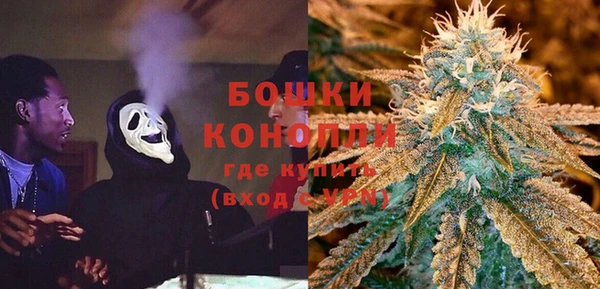 соль ск Богданович
