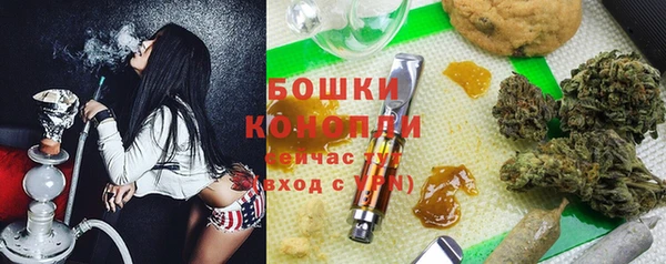 соль ск Богданович