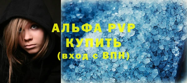 дживик Богородск