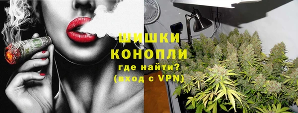 соль ск Богданович