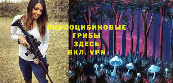 a pvp Богородицк