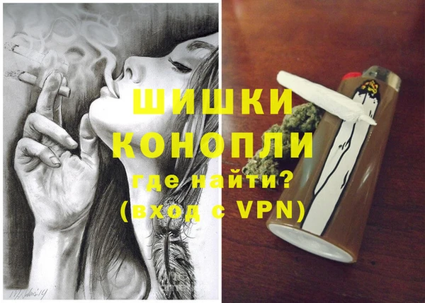 соль ск Богданович